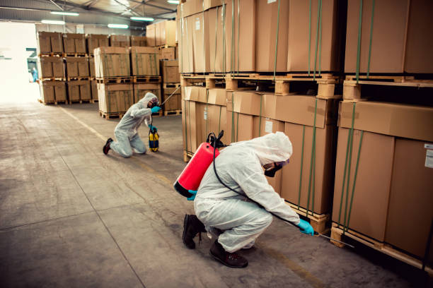 Best Best Pest Control Companies  in Glenwood, GA