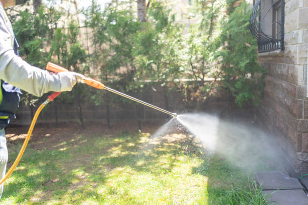 Best Bed Bug Extermination  in Glenwood, GA