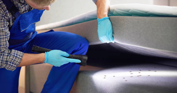 Best Affordable Pest Control Services  in Glenwood, GA