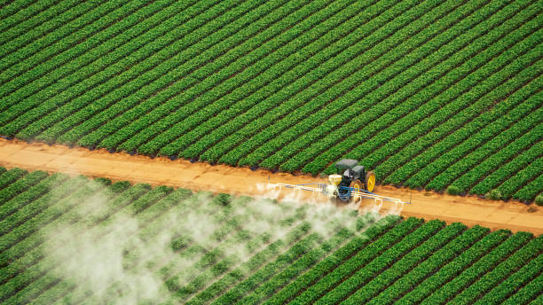 Reliable Glenwood, GA Pest Control Solutions