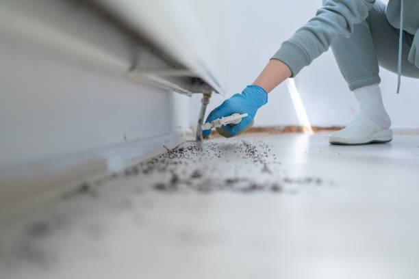 Best Pest Inspection Near Me  in Glenwood, GA